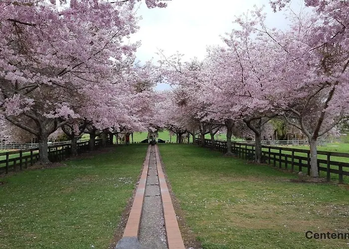 Garden View * 罗托鲁阿